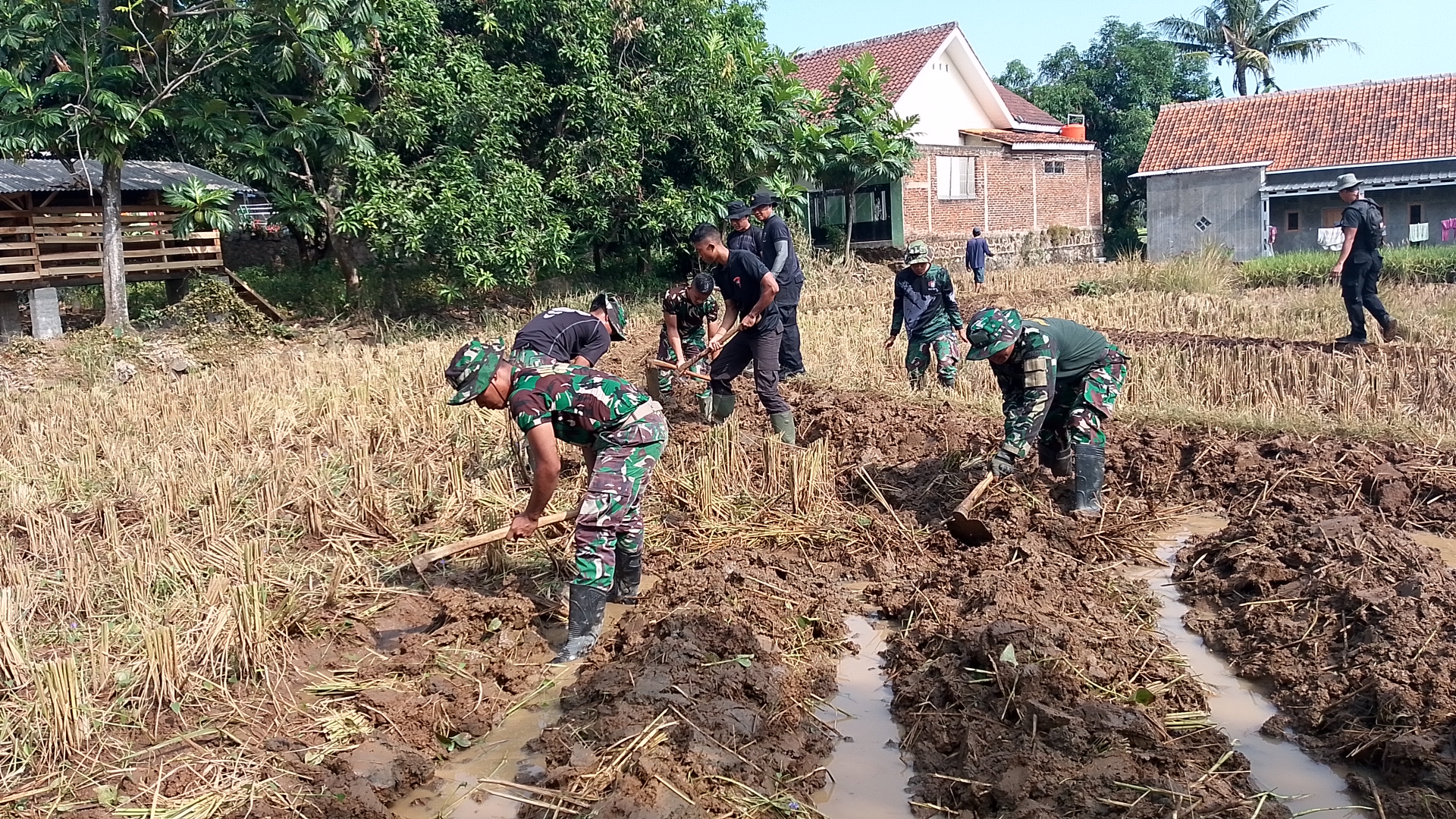 TINGKATKAN PRODUKTIVITAS KETAHANAN PANGAN, POLRES PURWOREJO SALURKAN BIBIT UNGGUL